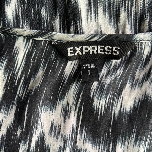 Express Dress - Picture 4 of 5